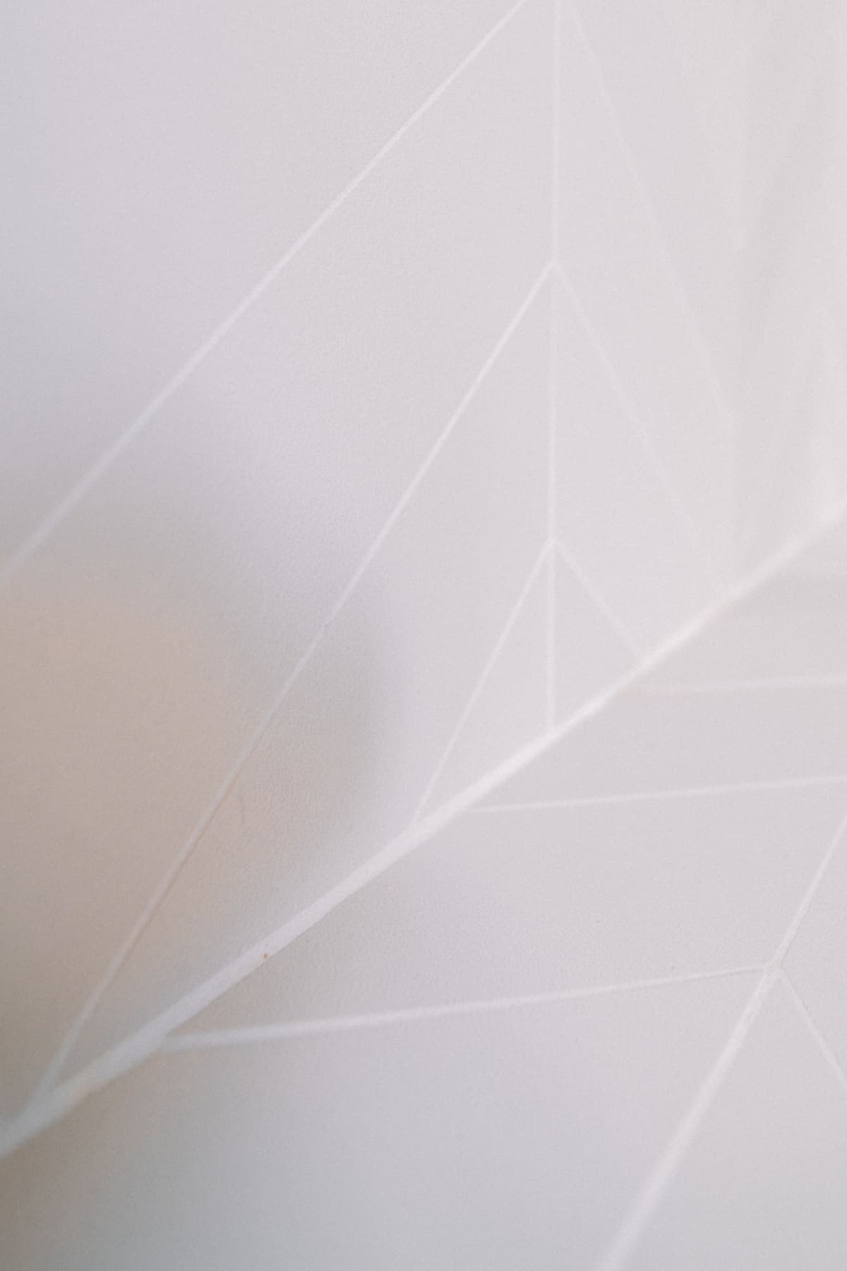 LUCIOLE — photo 36